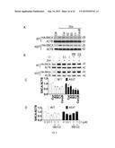 MTOR-independent activator of TFEB for autophagy enhancement and uses     thereof diagram and image