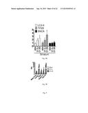 MTOR-independent activator of TFEB for autophagy enhancement and uses     thereof diagram and image