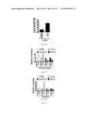 MTOR-independent activator of TFEB for autophagy enhancement and uses     thereof diagram and image