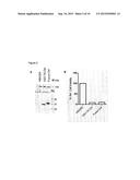 RNA TRANS-SPLICING MOLECULE (RTM) FOR USE IN THE TREATMENT OF CANCER diagram and image