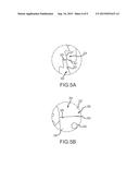 PASSENGER RESTRAINT PAWL AND RATCHET ASSEMBLY WITH POSITIVE ENGAGEMENT diagram and image