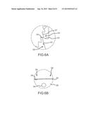 PASSENGER RESTRAINT PAWL AND RATCHET ASSEMBLY WITH POSITIVE ENGAGEMENT diagram and image