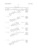 Use of a Compound for Inducing Differentiation of Mesenchymal Stem Cells     into Cartilage Cells diagram and image