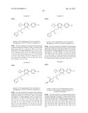 FLAP MODULATORS diagram and image