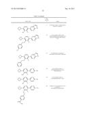 FLAP MODULATORS diagram and image