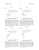 FLAP MODULATORS diagram and image