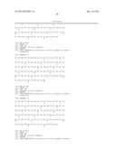 TARGETED THERAPEUTICS BASED ON ENGINEERED PROTEINS FOR TYROSINE KINASES     RECEPTORS, INCLUDING IGF-IR diagram and image