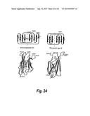 TARGETED THERAPEUTICS BASED ON ENGINEERED PROTEINS FOR TYROSINE KINASES     RECEPTORS, INCLUDING IGF-IR diagram and image