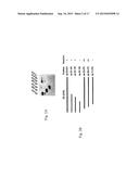 MONOCLONAL ANTIBODIES AGAINST ORTHOPOXVIRUSES diagram and image