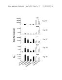 MONOCLONAL ANTIBODIES AGAINST ORTHOPOXVIRUSES diagram and image