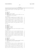 HIGH AFFINITY HUMAN ANTIBODIES TO HUMAN CYTOMEGALOVIRUS (CMV) GB PROTEIN diagram and image