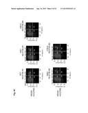 MONOCLONAL ANTIBODIES AGAINST CLAUDIN-18 FOR TREATMENT OF CANCER diagram and image