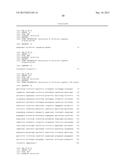 MONOCLONAL ANTIBODIES AGAINST CLAUDIN-18 FOR TREATMENT OF CANCER diagram and image