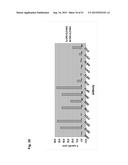 MONOCLONAL ANTIBODIES AGAINST CLAUDIN-18 FOR TREATMENT OF CANCER diagram and image