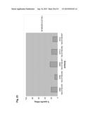 MONOCLONAL ANTIBODIES AGAINST CLAUDIN-18 FOR TREATMENT OF CANCER diagram and image