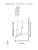 MONOCLONAL ANTIBODIES AGAINST CLAUDIN-18 FOR TREATMENT OF CANCER diagram and image