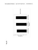 MONOCLONAL ANTIBODIES AGAINST CLAUDIN-18 FOR TREATMENT OF CANCER diagram and image