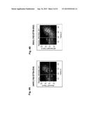 MONOCLONAL ANTIBODIES AGAINST CLAUDIN-18 FOR TREATMENT OF CANCER diagram and image