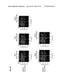 MONOCLONAL ANTIBODIES AGAINST CLAUDIN-18 FOR TREATMENT OF CANCER diagram and image