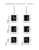 MONOCLONAL ANTIBODIES AGAINST CLAUDIN-18 FOR TREATMENT OF CANCER diagram and image