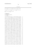 MONOCLONAL ANTIBODIES AGAINST CLAUDIN-18 FOR TREATMENT OF CANCER diagram and image