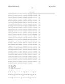 MONOCLONAL ANTIBODIES AGAINST CLAUDIN-18 FOR TREATMENT OF CANCER diagram and image