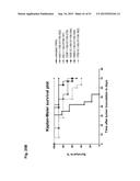 MONOCLONAL ANTIBODIES AGAINST CLAUDIN-18 FOR TREATMENT OF CANCER diagram and image