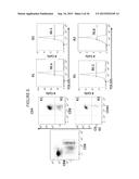 ANTIBODY AND METHODS FOR SELECTIVE INHIBITION OF T-CELL RESPONSES diagram and image