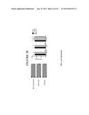 ANTIBODY AND METHODS FOR SELECTIVE INHIBITION OF T-CELL RESPONSES diagram and image