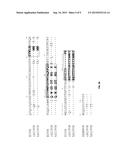 Anti-CD19 Antibodies diagram and image