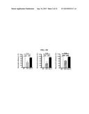 ICAM-1 ANTIBODY AND USE THEREOF diagram and image