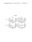 ICAM-1 ANTIBODY AND USE THEREOF diagram and image