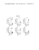 ICAM-1 ANTIBODY AND USE THEREOF diagram and image