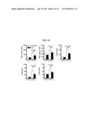 ICAM-1 ANTIBODY AND USE THEREOF diagram and image