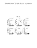 ICAM-1 ANTIBODY AND USE THEREOF diagram and image