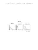 ICAM-1 ANTIBODY AND USE THEREOF diagram and image