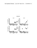 ICAM-1 ANTIBODY AND USE THEREOF diagram and image