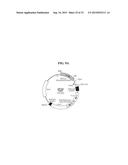 ICAM-1 ANTIBODY AND USE THEREOF diagram and image