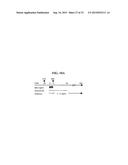 ICAM-1 ANTIBODY AND USE THEREOF diagram and image