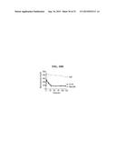 ICAM-1 ANTIBODY AND USE THEREOF diagram and image