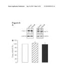 Methods for treating and/or limiting development of diabetes diagram and image