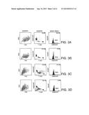 ANTI-ErbB2 ANTIBODIES diagram and image