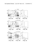 ANTI-ErbB2 ANTIBODIES diagram and image