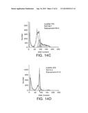 ANTI-ErbB2 ANTIBODIES diagram and image