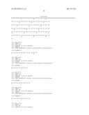 ANTI-ErbB2 ANTIBODIES diagram and image