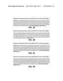 ANTI-JAGGED1 ANTIBODIES AND METHODS OF USE diagram and image