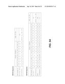 ANTI-JAGGED1 ANTIBODIES AND METHODS OF USE diagram and image