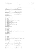 ANTI-JAGGED1 ANTIBODIES AND METHODS OF USE diagram and image