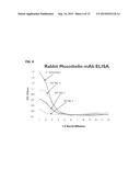 MESOTHELIN DOMAIN-SPECIFIC MONOCLONAL ANTIBODIES AND USE THEREOF diagram and image