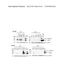 MESOTHELIN DOMAIN-SPECIFIC MONOCLONAL ANTIBODIES AND USE THEREOF diagram and image